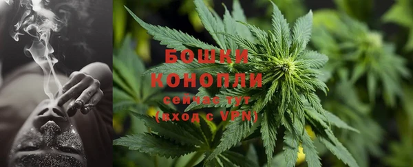 эйфоретик Каменка