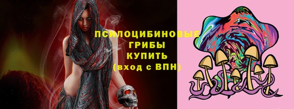 эйфоретик Каменка