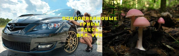 трава Каменногорск