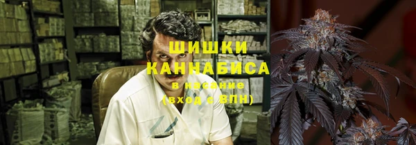 эйфоретик Каменка
