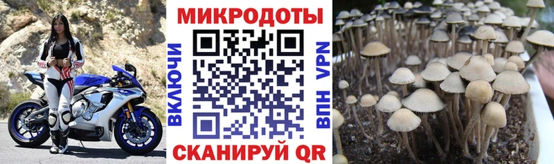 Галлюциногенные грибы мухоморы  цены наркотик  Луга 